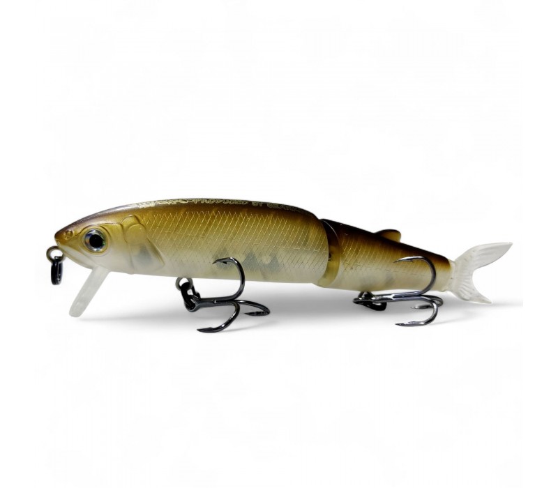 Bearking Bearking Tiny Magallon 88SP
