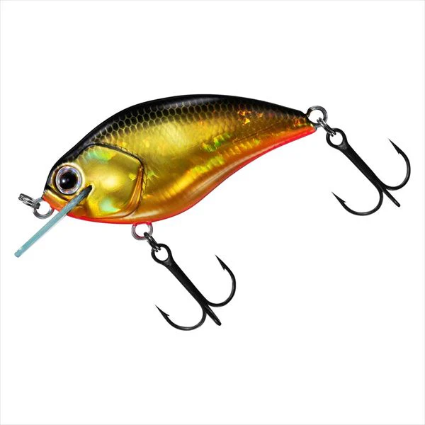 Daiwa Steez Square