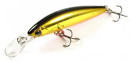 Jackall Midia