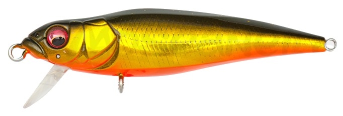 Megabass FX6.6
