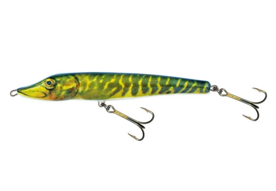 Salmo Jack