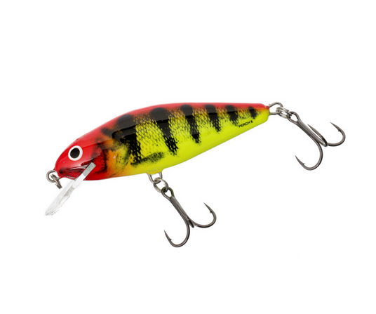 Salmo Perch