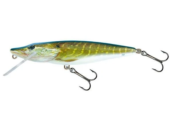 Salmo Pike