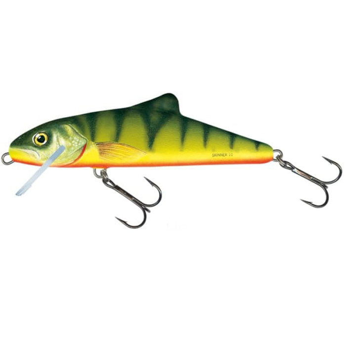 Salmo Skinner